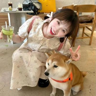 告白实行委员会：告白预演